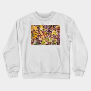 Colorful Autumn Leaves in the October Woods Crewneck Sweatshirt